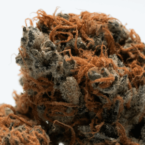 up close image of cannabis flower