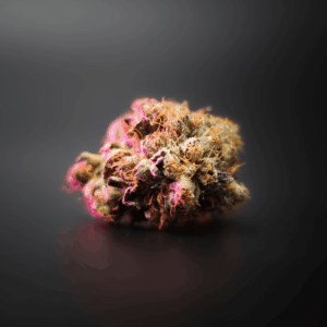 pink and green cannabis flower
