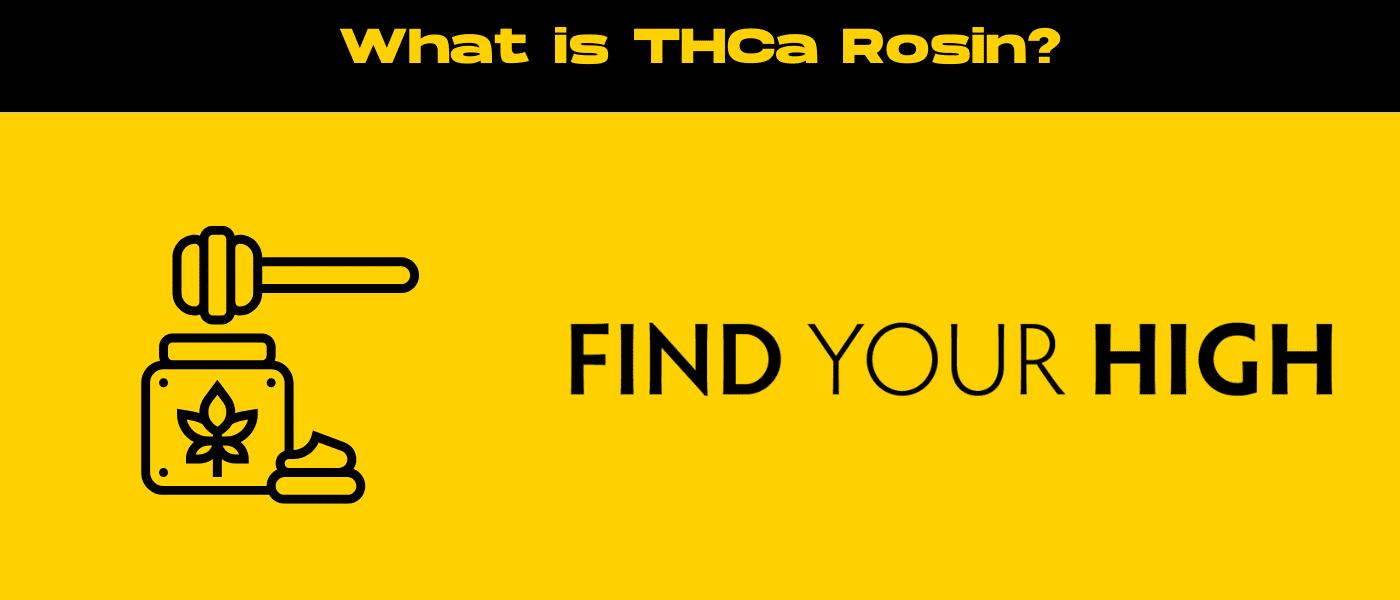 black and yellow banner image for thca rosin blog