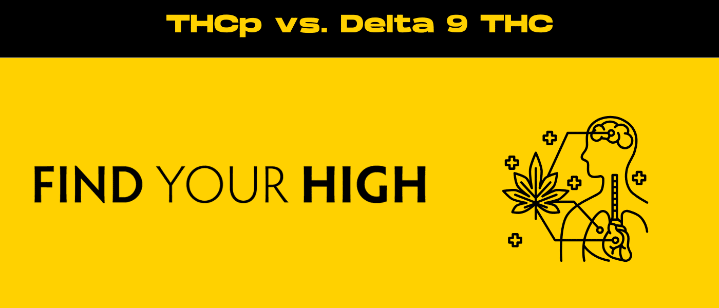 black and yellow banner image for thcp vs delta 9 blog
