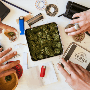 cannabis products and hands