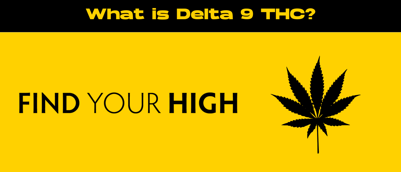 black and yellow banner image for what is delta 9 thc blog