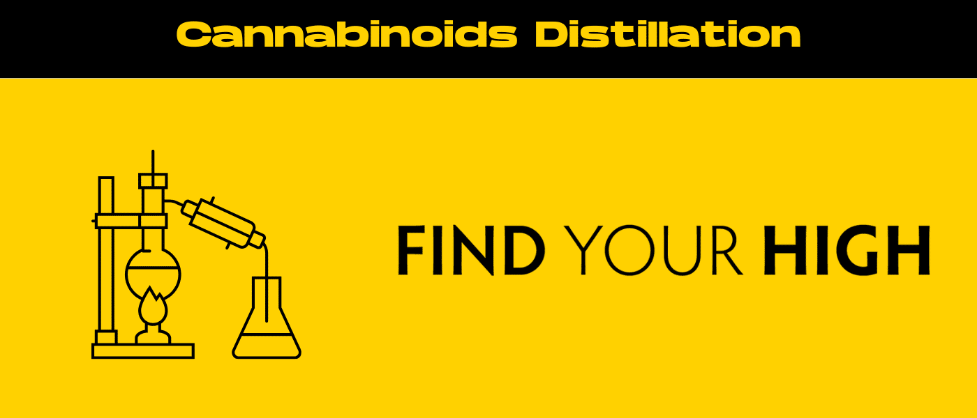 black and yellow banner image for cannabinoids distillation blog