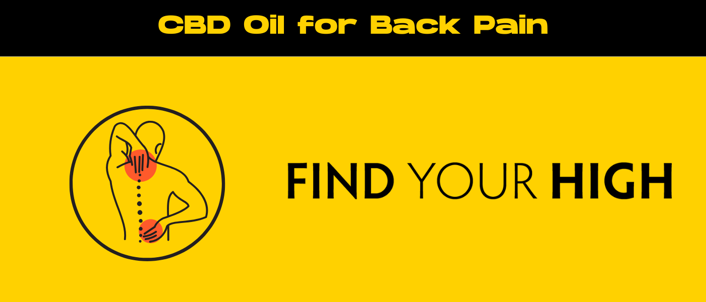 black and yellow banner image for cbd oil for back pain blog