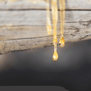 gold resin