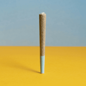 single joint against blue and yellow background