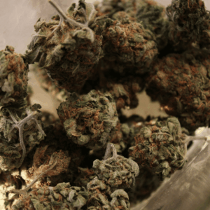cannabis nugs