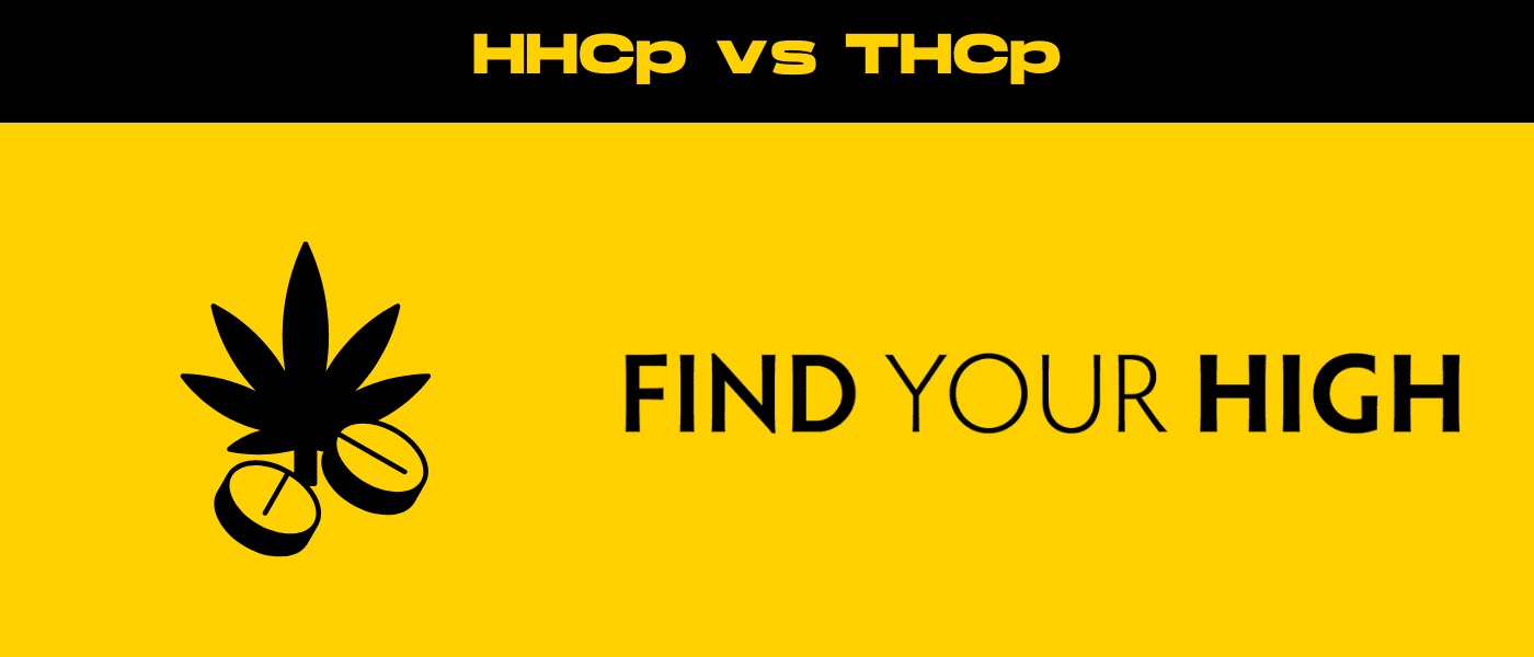 black and yellow banner image for hhcp vs thcp blog