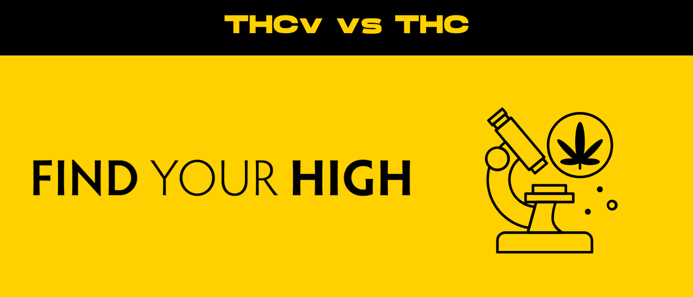 black and yellow banner image for thcv vs thc blog