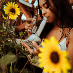 girl smoking a bong next to sunflowers