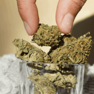 hand reaching into glass of nugs