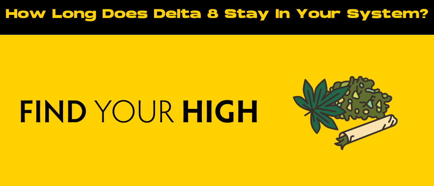 black and yellow banner image for how long does delta 8 stay in your system blog