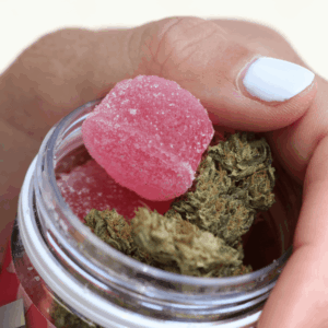 cannabis flower and pink sugar-coated gummies