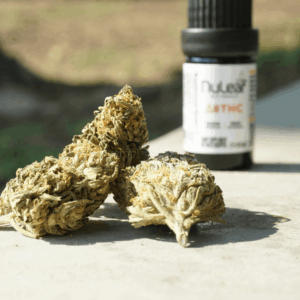 pile of nugs with tincture in background