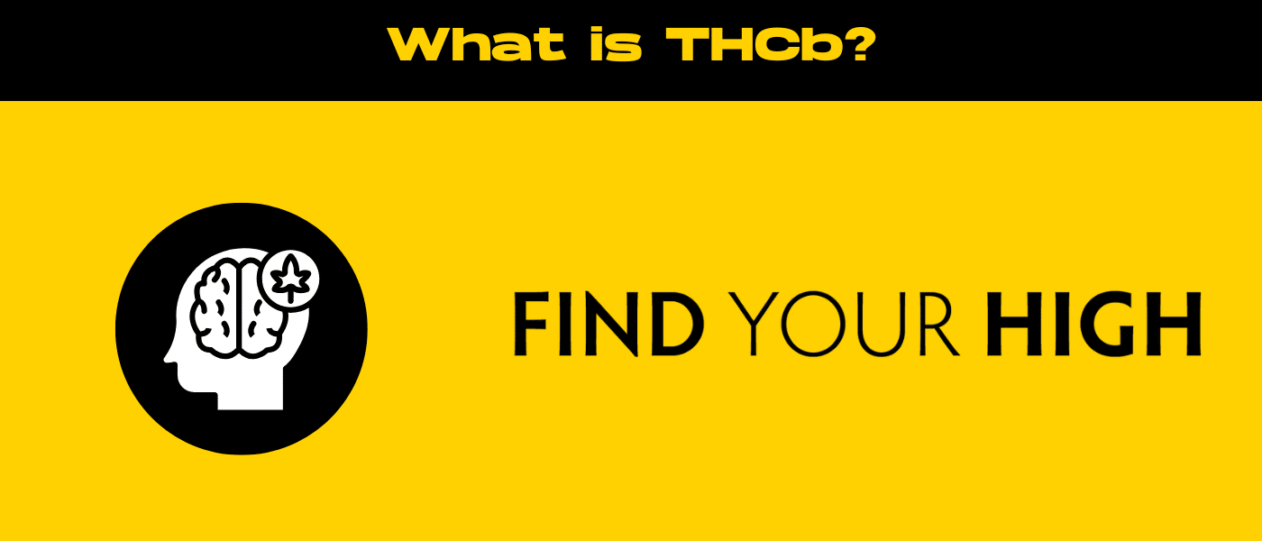 black and yellow banner image for what is thcb blog