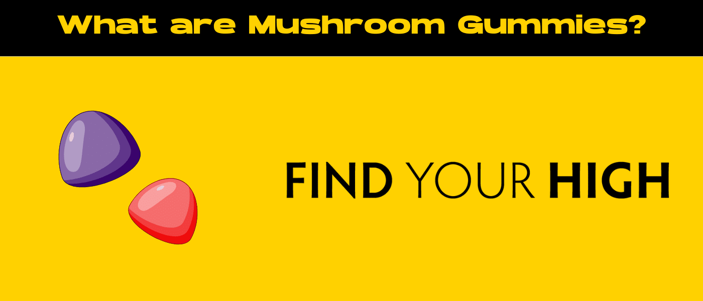 black and yellow banner image for what are mushroom gummies blog
