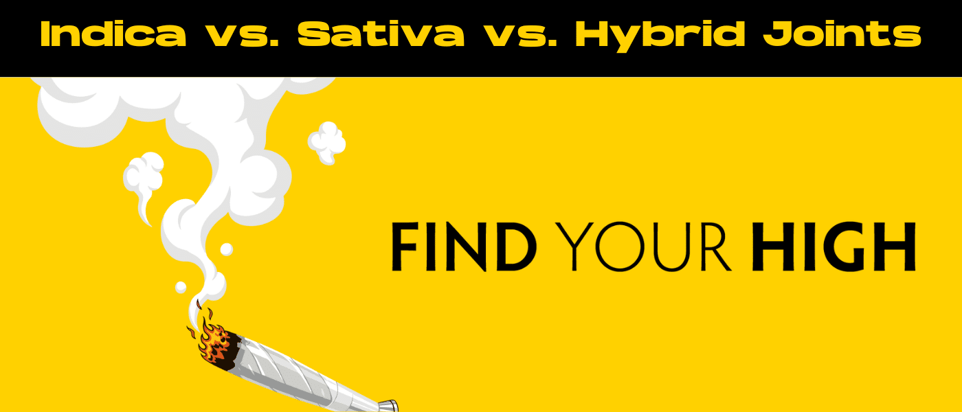 black and yellow banner image for indica vs sativa vs hybrid prerolls blog
