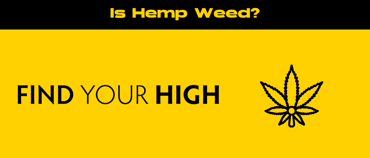 black and yellow banner image for is hemp weed blog