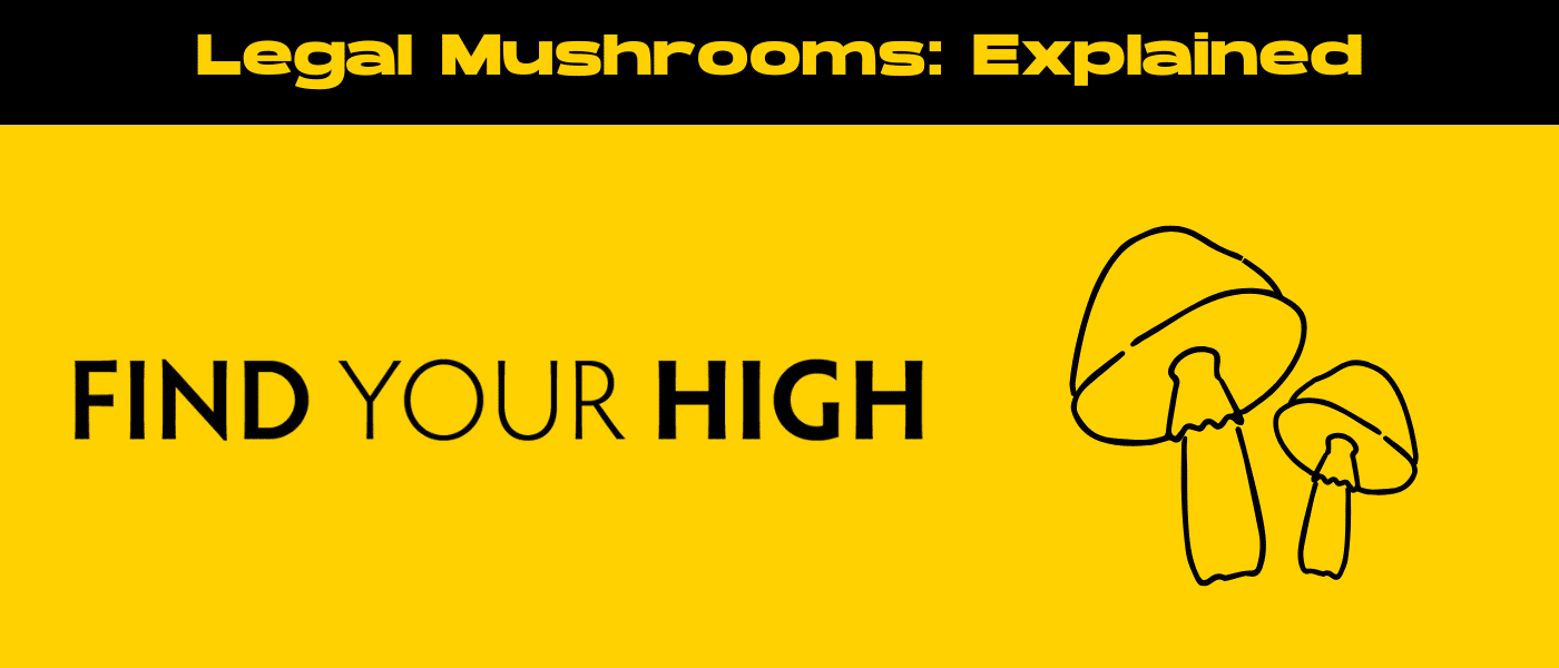 black and yellow banner image for Legal mushroom products explained blog