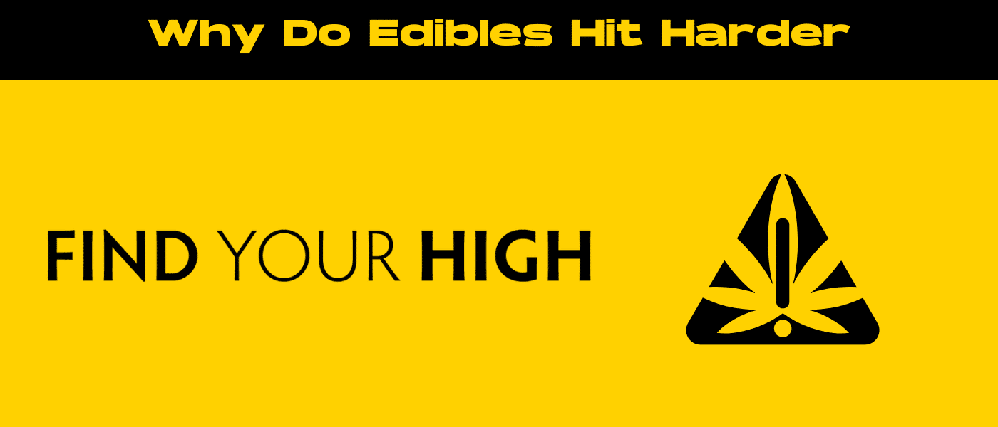 black and yellow banner image for why do edibles hit harder blog
