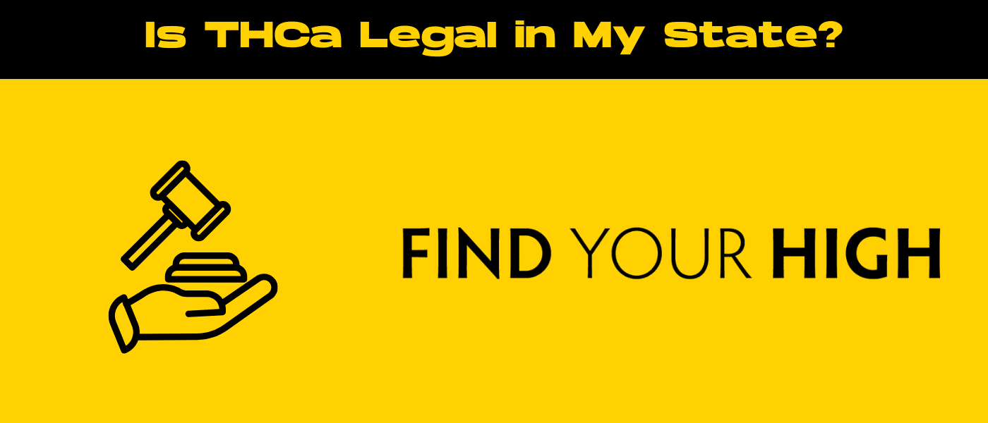 black and yellow banner image for is thca legal blog
