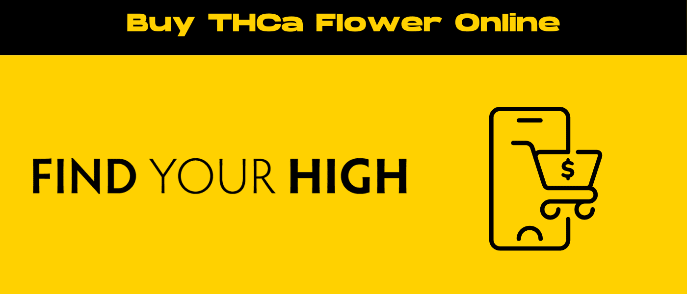 black and yellow banner image for buy THCa flower online blog
