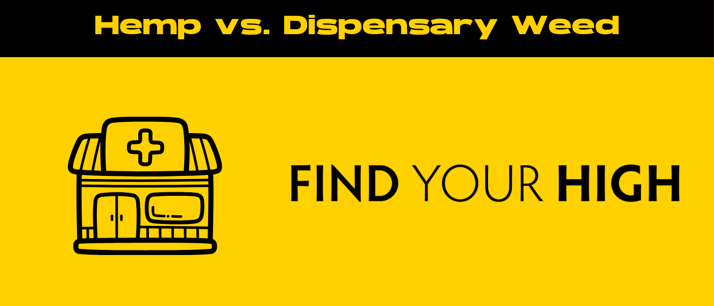 black and yellow banner image for hemp vs dispensary weed blog