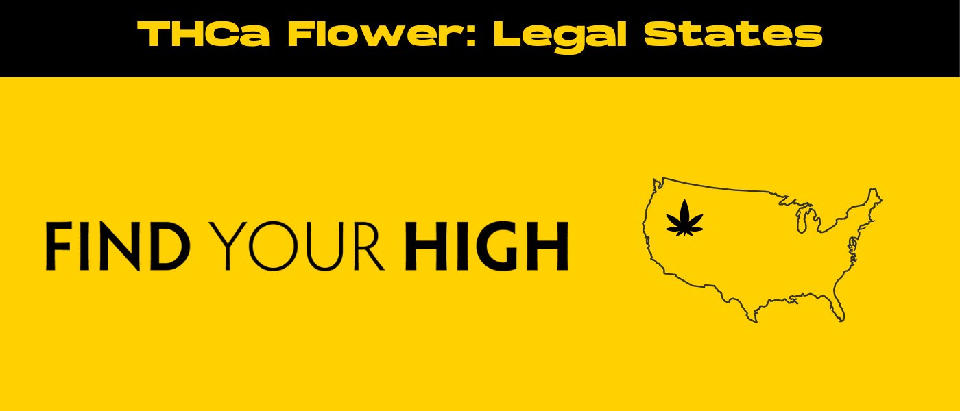 black and yellow banner image for THCa flower legal states blog